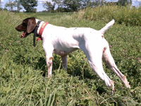 Photos of Annie