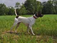 Photos of Jack