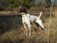 Photos of Jake