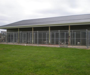 Our Kennels