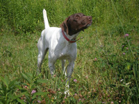 Photos of Sue